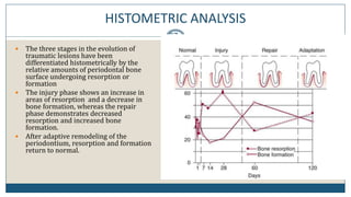 HISTOMETRIC ANALYSIS
37
 The three stages in the evolution of
traumatic lesions have been
differentiated histometrically by the
relative amounts of periodontal bone
surface undergoing resorption or
formation
 The injury phase shows an increase in
areas of resorption and a decrease in
bone formation, whereas the repair
phase demonstrates decreased
resorption and increased bone
formation.
 After adaptive remodeling of the
periodontium, resorption and formation
return to normal.
 
