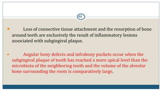 44
 Loss of connective tissue attachment and the resorption of bone
around teeth are exclusively the result of inflammatory lesions
associated with subgingival plaque.
 Angular bony defects and infrabony pockets occur when the
subgingival plaque of tooth has reached a more apical level than the
microbiota of the neighboring tooth and the volume of the alveolar
bone surrounding the roots is comparatively large.
 