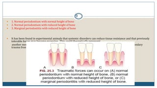9
 1. Normal periodontium with normal height of bone
 2. Normal periodontium with reduced height of bone
 3. Marginal periodontitis with reduced height of bone
 It has been found in experimental animals that systemic disorders can reduce tissue resistance and that previously
tolerable forces may become excessive. This could theoretically represent
another mechanism by which tissue resistance to increased forces is lowered, thereby resulting in secondary
trauma from occlusion
 