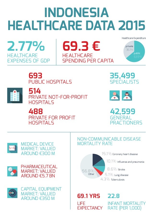 Indonesia Healthcare data 2015