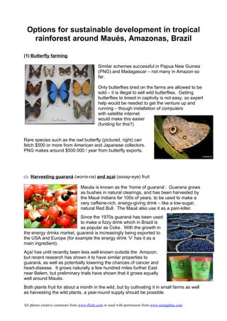 Options for sustainable development in tropical
   rainforest around Maués, Amazonas, Brazil

(1) Butterfly farming

                                           Similar schemes successful in Papua New Guinea
                                           (PNG) and Madagascar – not many in Amazon so
                                           far.

                                           Only butterflies bred on the farms are allowed to be
                                           sold – it is illegal to sell wild butterflies. Getting
                                           butterflies to breed in captivity is not easy, so expert
                                           help would be needed to get the venture up and
                                           running – though installation of computers
                                           with satellite internet
                                           would make this easier
                                           (funding for this?)


Rare species such as the owl butterfly (pictured, right) can
fetch $500 or more from American and Japanese collectors.
PNG makes around $500 000 / year from butterfly exports.




(2) Harvesting guaraná (worra-na) and açaí (assay-eye) fruit

                                 Maués is known as the ‘home of guaraná‘. Guarana grows
                                 as bushes in natural clearings, and has been harvested by
                                 the Maué Indians for 100s of years, to be used to make a
                                 very caffeine-rich, energy-giving drink – like a low-sugar,
                                 natural Red Bull. The Maué also use it as a pain-killer.
                            Since the 1970s guaraná has been used
                            to make a fizzy drink which in Brazil is
                            as popular as Coke. With the growth in
the energy drinks market, guaraná is increasingly being exported to
the USA and Europe (for example the energy drink ‘V’ has it as a
main ingredient).
Açaí has until recently been less well-known outside the Amazon,
but recent research has shown it to have similar properties to
guaraná, as well as potentially lowering the chances of cancer and
heart-disease. It grows naturally a few hundred miles further East
near Belem, but preliminary trials have shown that it grows equally
well around Maués.
Both plants fruit for about a month in the wild, but by cultivating it in small farms as well
as harvesting the wild plants, a year-round supply should be possible.

All photos creative commons from www.flickr.com or used with permission from www.mongabay.com
 