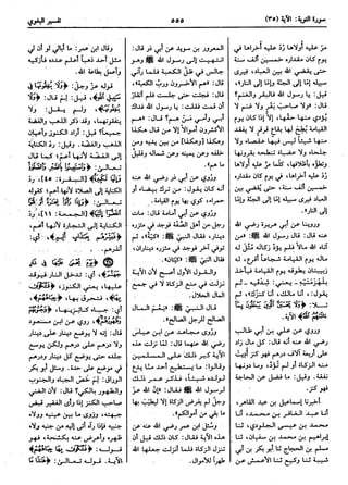  معالم التنزيل (تفسير البغوي) (ط: ابن حزم) 