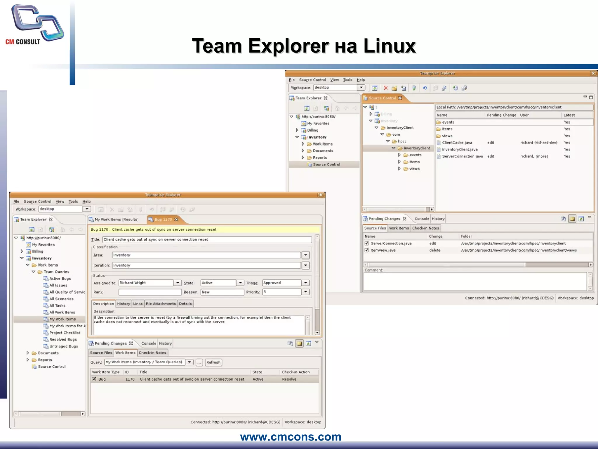 Team Explorer  на  Linux 