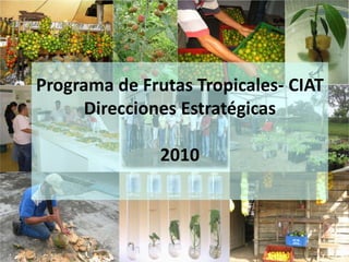 Programa de Frutas Tropicales- CIATDirecciones Estratégicas2010 