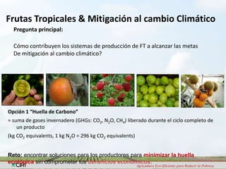 Programa de Frutas Tropicales-CIAT: Direcciones Estratégicas