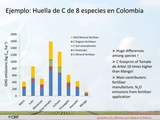 Programa de Frutas Tropicales-CIAT: Direcciones Estratégicas
