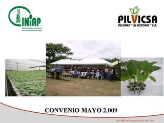 Programa de Frutas Tropicales-CIAT: Direcciones Estratégicas