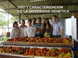 Programa de Frutas Tropicales-CIAT: Direcciones Estratégicas