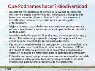 Programa de Frutas Tropicales-CIAT: Direcciones Estratégicas