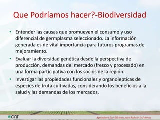 Programa de Frutas Tropicales-CIAT: Direcciones Estratégicas