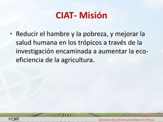 Programa de Frutas Tropicales-CIAT: Direcciones Estratégicas