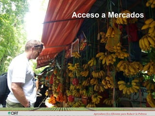 Programa de Frutas Tropicales-CIAT: Direcciones Estratégicas