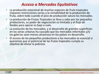 Programa de Frutas Tropicales-CIAT: Direcciones Estratégicas