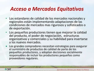 Programa de Frutas Tropicales-CIAT: Direcciones Estratégicas