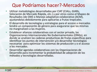 Programa de Frutas Tropicales-CIAT: Direcciones Estratégicas
