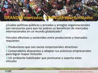 Programa de Frutas Tropicales-CIAT: Direcciones Estratégicas