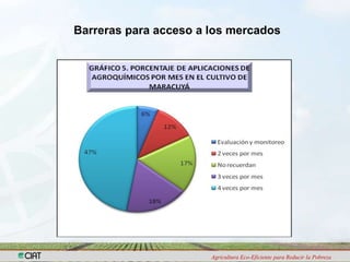 Programa de Frutas Tropicales-CIAT: Direcciones Estratégicas
