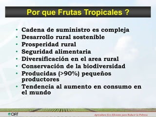 Programa de Frutas Tropicales-CIAT: Direcciones Estratégicas