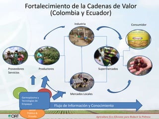 Programa de Frutas Tropicales-CIAT: Direcciones Estratégicas