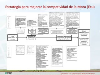 Programa de Frutas Tropicales-CIAT: Direcciones Estratégicas