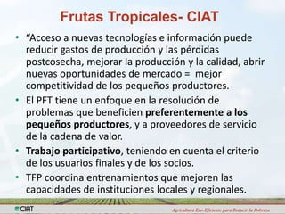 Programa de Frutas Tropicales-CIAT: Direcciones Estratégicas
