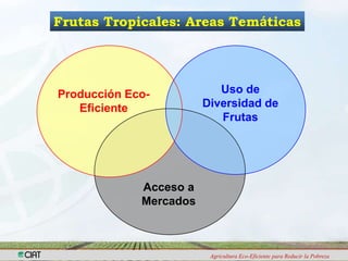 Programa de Frutas Tropicales-CIAT: Direcciones Estratégicas
