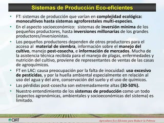 Programa de Frutas Tropicales-CIAT: Direcciones Estratégicas