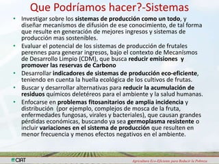 Programa de Frutas Tropicales-CIAT: Direcciones Estratégicas