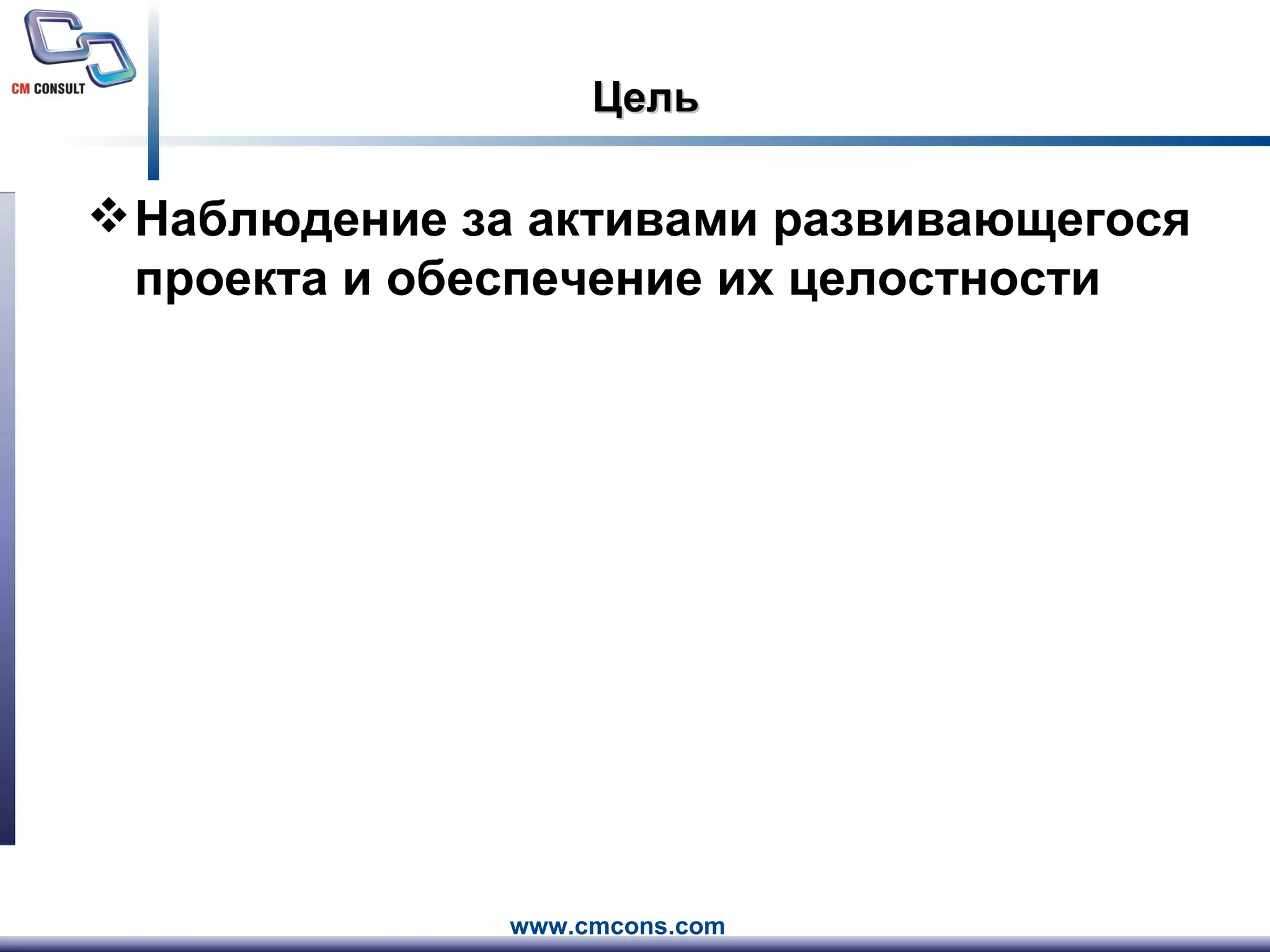 Цель Наблюдение за активами развивающегося проекта и обеспечение их целостности 