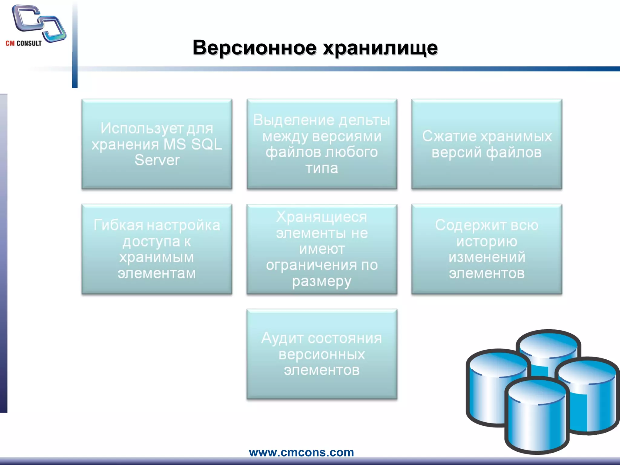 Версионное хранилище 