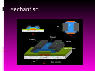 Tft Monitor | PPT