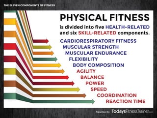 Understanding the 11 Components of Fitness