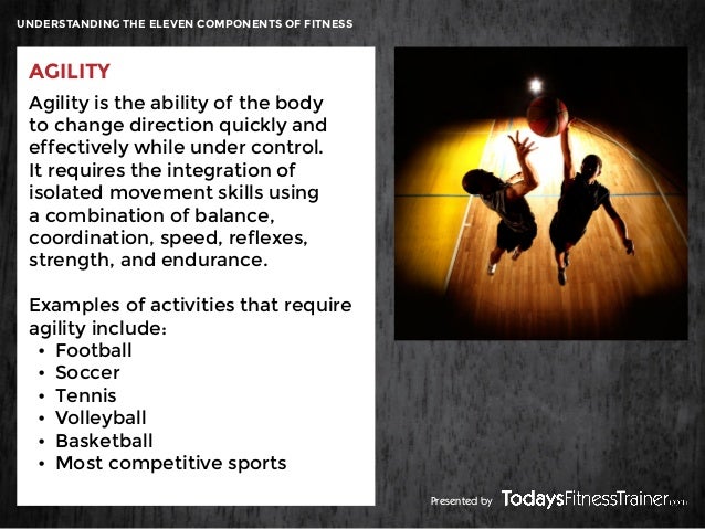 Understanding The Eleven Components Of Fitness Skill Related Components Presented By 11 Understanding The Eleven Components Of Fitness Skill Related Components Presented By 11