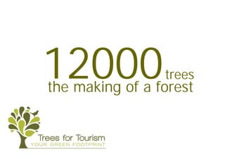 12000            trees
the making of a forest
 
