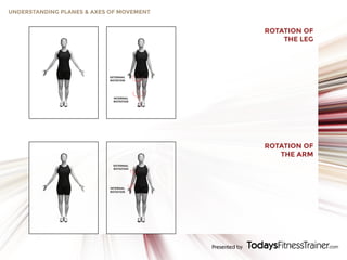 Understanding Planes & Axes of Movement | PDF