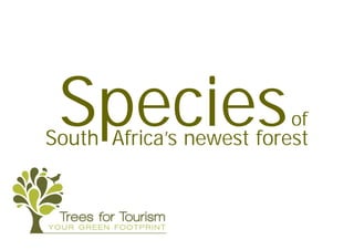 Species                  of
South Africa’s newest forest
 