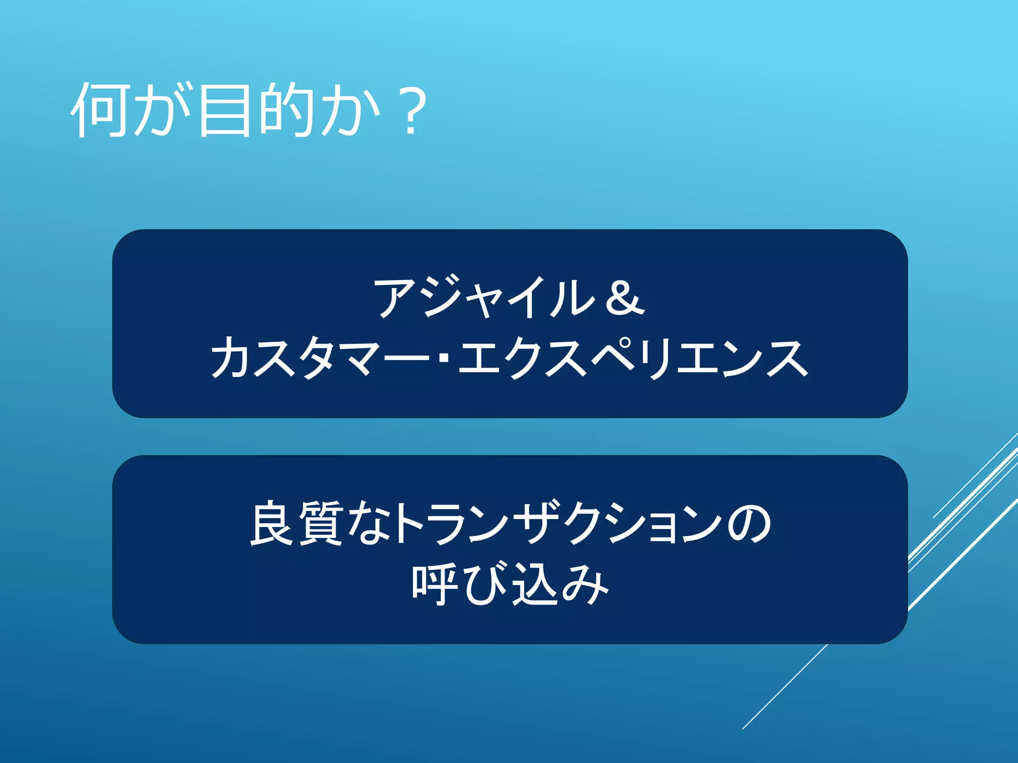何が目的か？
アジャイル＆
カスタマー・エクスペリエンス
良質なトランザクションの
呼び込み
 