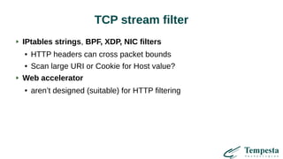 TCP stream filter
IPtables strings, BPF, XDP, NIC filters
● HTTP headers can cross packet bounds
● Scan large URI or Cookie for Host value?
Web accelerator
● aren’t designed (suitable) for HTTP filtering
 
