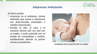 El niño/a puede:
• reconocer en el ambiente, ciertos
estímulos que asocia o relacionará
con determinadas actividades o
estados emocionales.
• Percibe el olor, el calor y el
contacto directo piel con piel con
su madre, y suele asociarlo con un
estado de tranquilidad y confort,
estableciendo además su primer
vínculo socioafectivo.
Subproceso: Anticipación
contacto con el pecho de la madre
 
