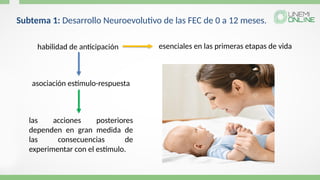 Subtema 1: Desarrollo Neuroevolutivo de las FEC de 0 a 12 meses.
habilidad de anticipación
asociación estímulo-respuesta
las acciones posteriores
dependen en gran medida de
las consecuencias de
experimentar con el estímulo.
esenciales en las primeras etapas de vida
 