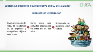 Subtema 2: desarrollo neuroevolutivo de FEC de 1 a 2 años
Subproceso: Organización
En el primer año de
vida, la tendencia
es de organizar y
categorizar objetos
concretos.
Surge como una
actividad espontánea
ya antes de los dos
años
Separando sus
juguetes según
su tipo
 