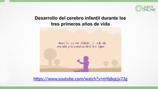 Desarrollo del cerebro infantil durante los
tres primeros años de vida
https://www.youtube.com/watch?v=mYqbqLjv73g
 