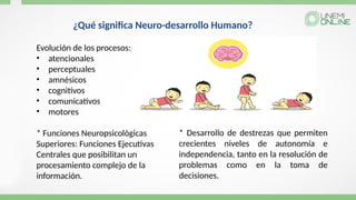 ¿Qué significa Neuro-desarrollo Humano?
Evolución de los procesos:
• atencionales
• perceptuales
• amnésicos
• cognitivos
• comunicativos
• motores
* Funciones Neuropsicológicas
Superiores: Funciones Ejecutivas
Centrales que posibilitan un
procesamiento complejo de la
información.
* Desarrollo de destrezas que permiten
crecientes niveles de autonomía e
independencia, tanto en la resolución de
problemas como en la toma de
decisiones.
 