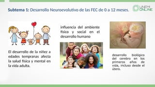 El desarrollo de la niñez a
edades tempranas afecta
la salud física y mental en
la vida adulta.
influencia del ambiente
físico y social en el
desarrollo humano
desarrollo biológico
del cerebro en los
primeros años de
vida, incluso desde el
útero.
Subtema 1: Desarrollo Neuroevolutivo de las FEC de 0 a 12 meses.
 