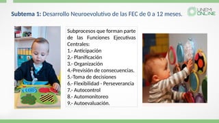Subprocesos que forman parte
de las Funciones Ejecutivas
Centrales:
1.- Anticipación
2.- Planificación
3.- Organización
4.-Previsión de consecuencias.
5.-Toma de decisiones
6.- Flexibilidad - Perseverancia
7.- Autocontrol
8.- Automonitoreo
9.- Autoevaluación.
Subtema 1: Desarrollo Neuroevolutivo de las FEC de 0 a 12 meses.
 