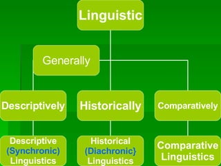 Linguistic Descriptively Historically Comparatively Descriptive (Synchronic) Linguistics Historical (Diachronic} Linguistics Comparative Linguistics Generally 