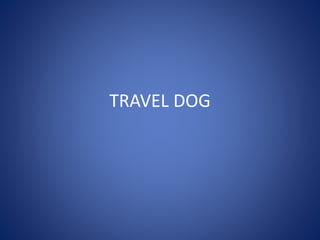TRAVEL DOG
 
