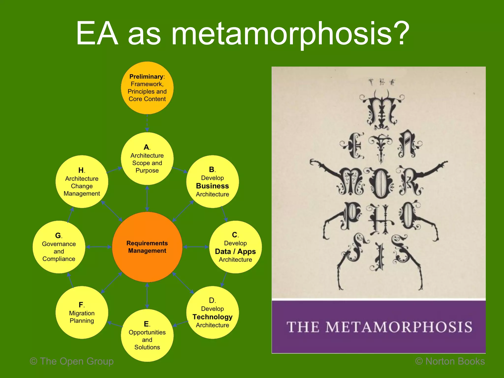 © The Open Group
EA as metamorphosis?
© Norton Books
 