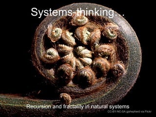 Systems-thinking… 
Recursion and fractality in natural systems 
CC-BY-NC-SA gjshepherd via Flickr 
 