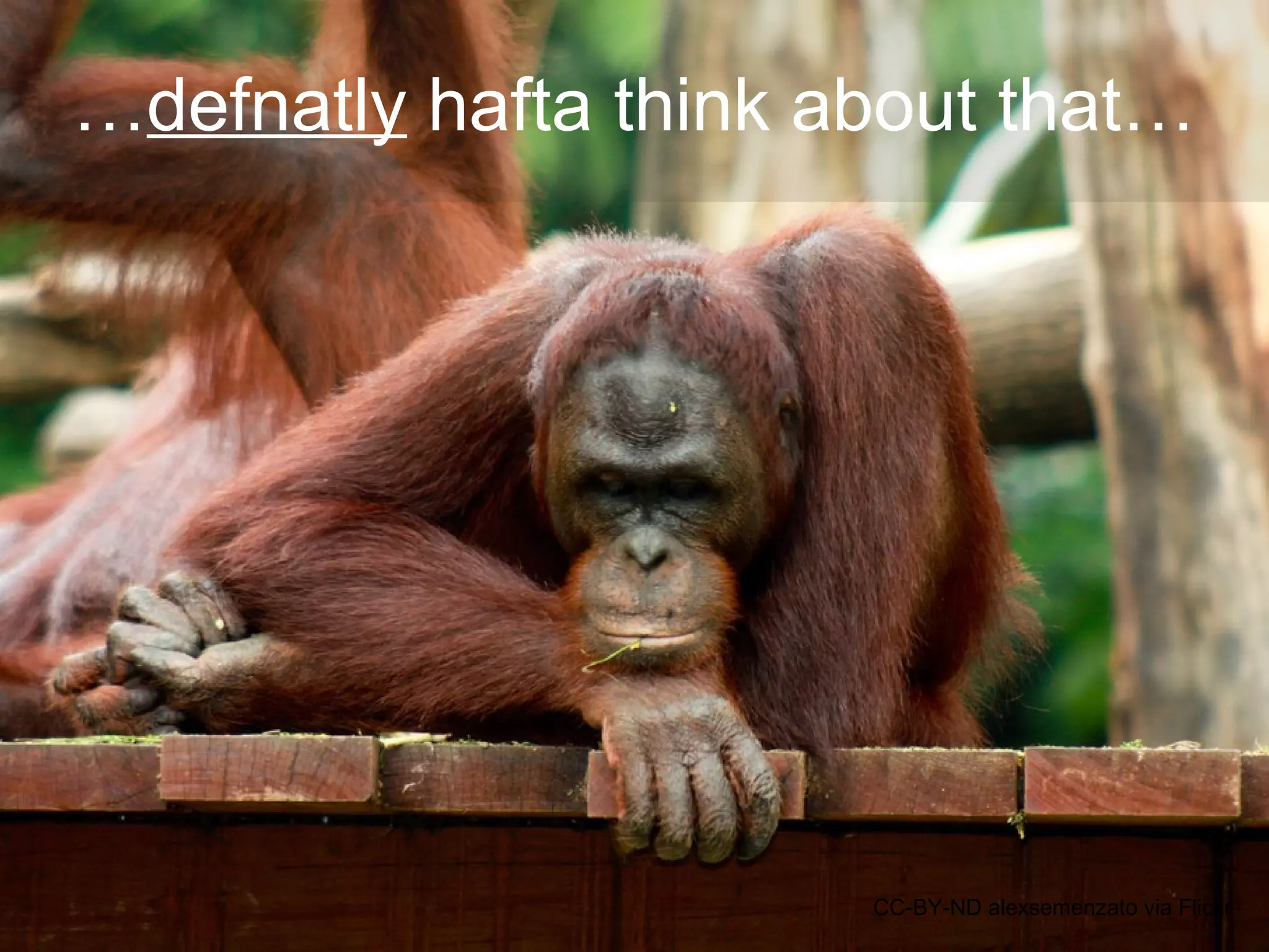 …defnatly hafta think about that…
CC-BY-ND alexsemenzato via Flickr
 